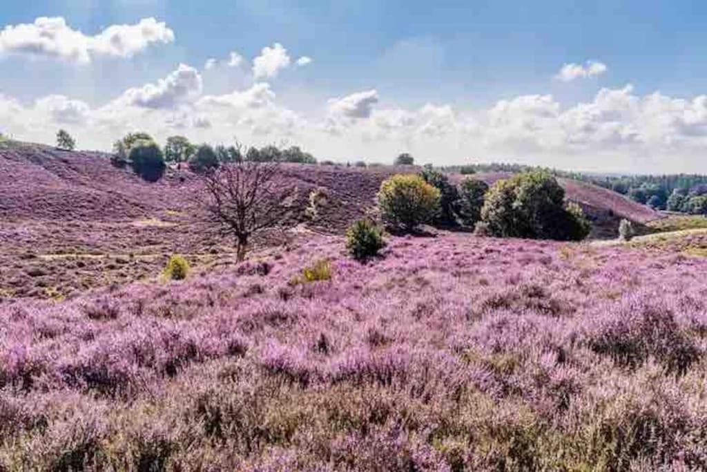Chalet Toetje Op De Veluwe Hoenderloo Ngoại thất bức ảnh